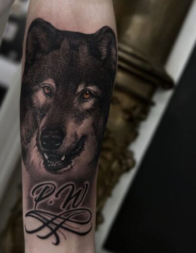 Realistyczny tatuaż wilka na przedramieniu wykonany w studiu Omerta Tattoo, Wrocław