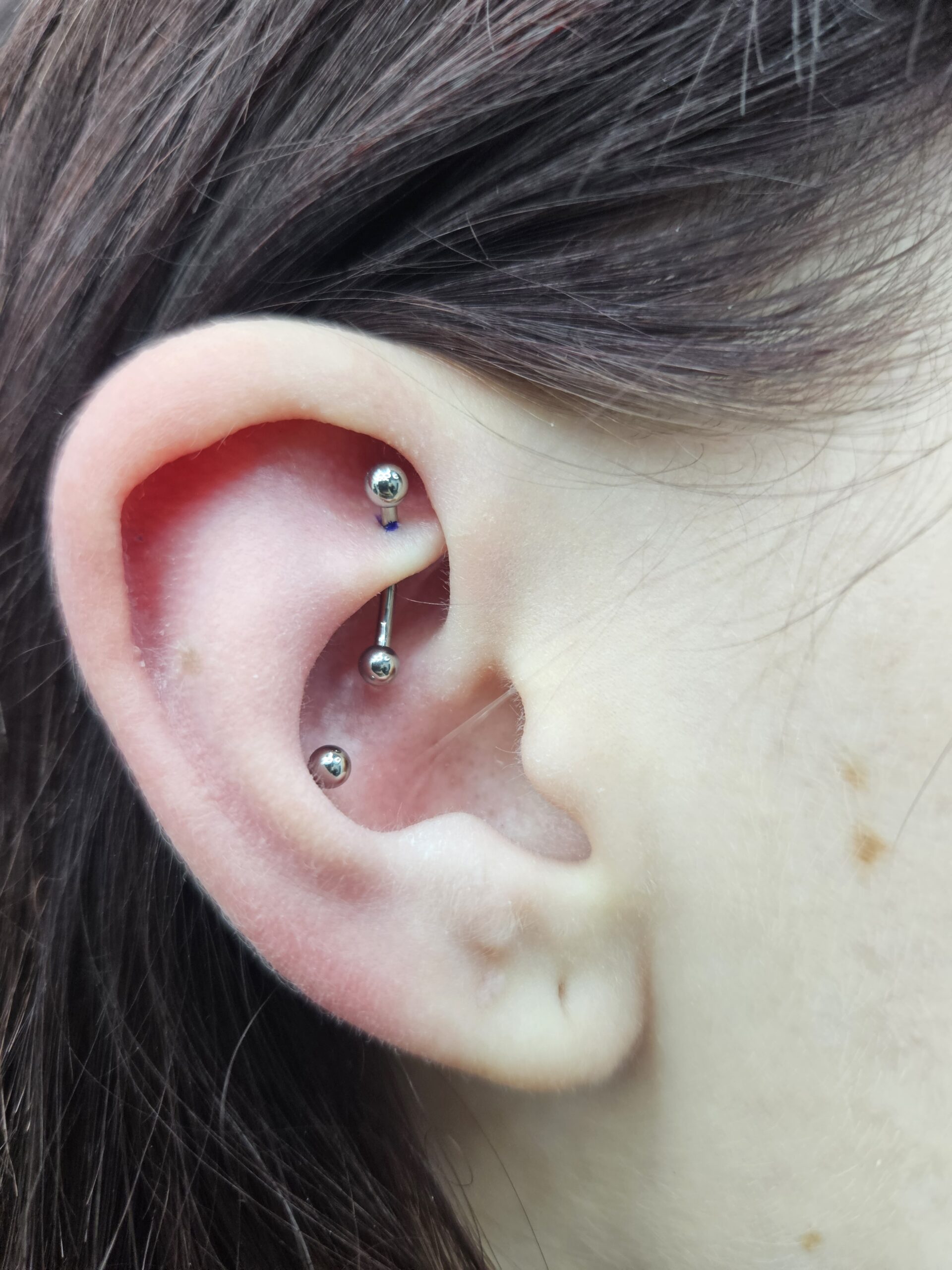 Rook i conch Kolczyk w uchu - rook i conch wykonany w Omerta Tattoo, Wrocław
