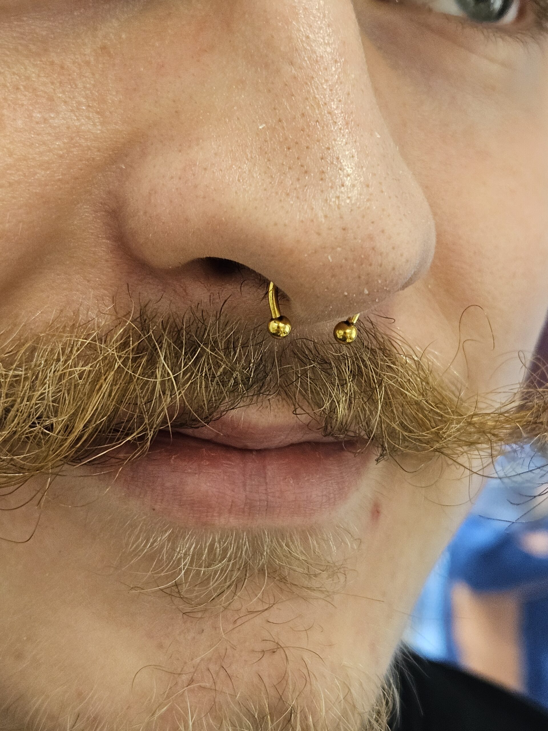 Kolczyk septum Kolczyk w nosie - septum wykonany w Omerta Tattoo, Wrocław